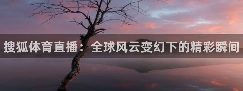 nba88看球直播在线观看：搜狐体育直播：全球风云变幻下的精彩瞬间
