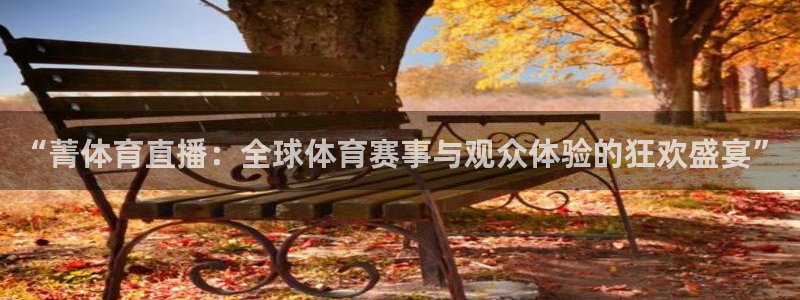 88看球nba直播免费下载：“菁体育直播：全球体育赛事与观众体验的狂欢盛宴”