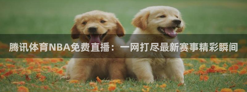 88看球直播平台：腾讯体育NBA免费直播：一网打尽最新赛事精彩瞬间