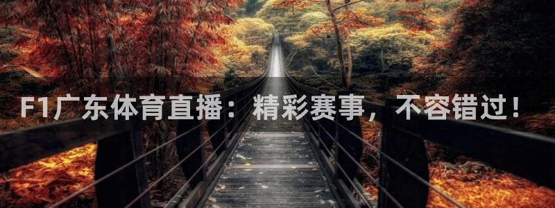 88看球nba直播免费：F1广东体育直播：精彩赛事，不容错过！