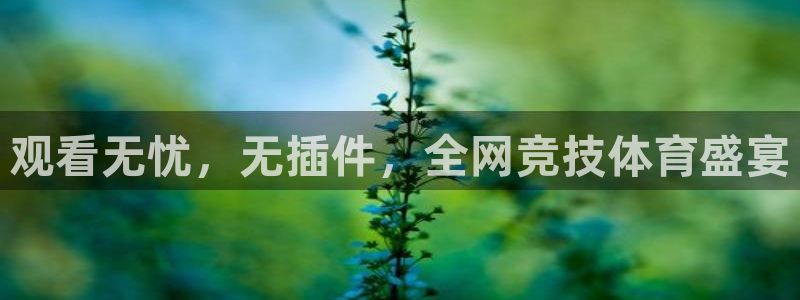 88看球nba直播免费下载：观看无忧，无插件，全网竞技体育盛宴