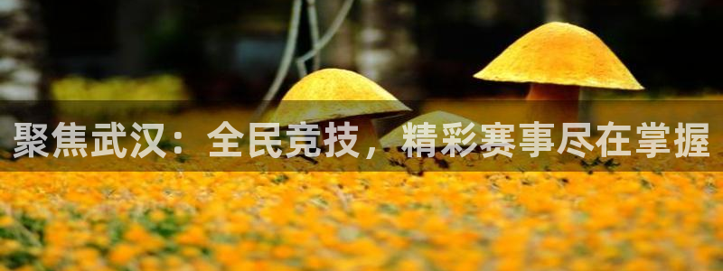 88看球直播官网入口：聚焦武汉：全民竞技，精彩赛事尽在掌握