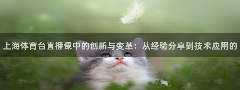 88看球免费直播高清观看：上海体育台直播课中的创新与变革：从经验分享到技术应用的
